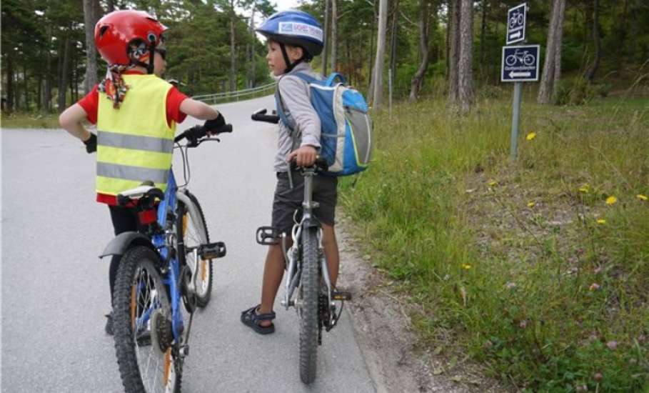 Социальная кампания "Прогноз безопасности" о велосипедистах