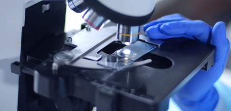 Один новый случай заражения COVID-2019 выявлен в Липецкой области