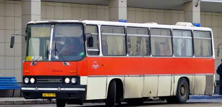 Автобусные перевозки отменены в ряде муниципалитетов