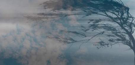 6 апреля на территории Липецкой области ожидается усиление северо-западного ветра с порывами до 17 м/с