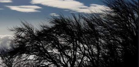 8 апреля на территории Липецкой области ожидается усиление ветра с порывами до 15-20 м/с