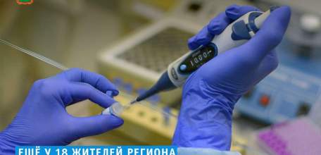 Диагноз «Коронавирусная инфекция» подтверждён у 18 жителей Липецкой области