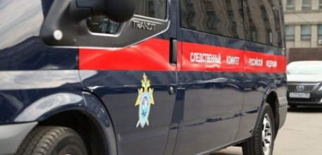 В Ельце возбуждено уголовное дело о покушении на убийство пенсионера