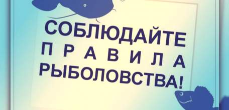 Для рыболовов - любителей: правила рыболовства