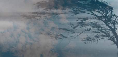 ГУ МЧС России по Липецкой области предупреждает об усиление ветра с порывами 16-21 м/с