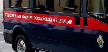 В Липецкой области завершено расследование резонансного убийства ельчанки, ее сына и ранения малолетней дочери