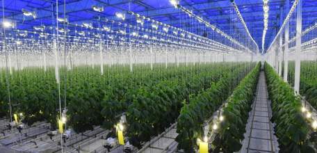 Предприятия Липецкой области предлагают работу жителям региона