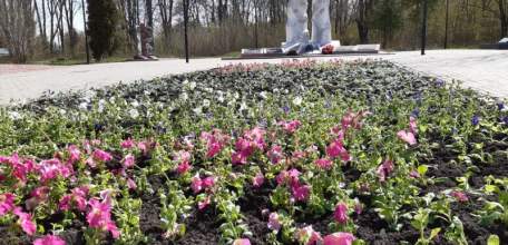 В Ельце начались работы по посадке цветников