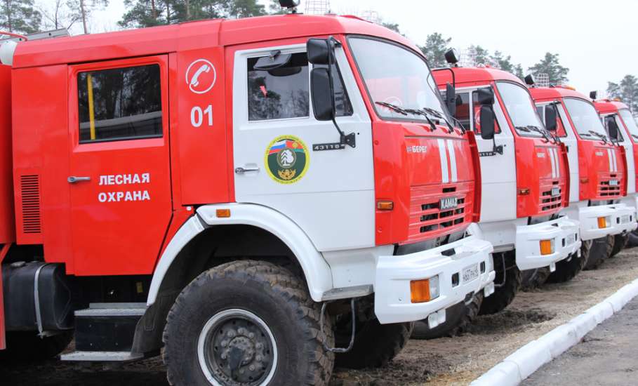 Посещение лесов в Липецкой области ограничено в связи с пожароопасной обстановкой