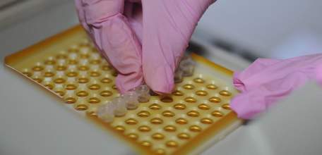 За минувшие сутки в Липецкой области подтвердились 43 случая заражения коронавирусной инфекцией