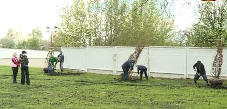 Измалковские саженцы на елецкой земле