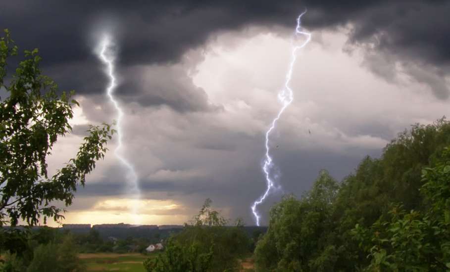 10 мая на территории Липецкой области ожидается сильный дождь, гроза, усиление западного ветра с порывами до 17 м/с
