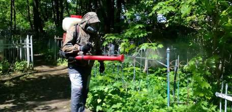 В Ельце территории всех городских кладбищ обработали от клещей