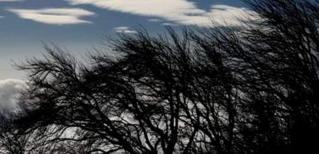 На территороии Липецкой области во второй половине дня 19 мая ожидается усиление ветра с порывами 15-17 м/с