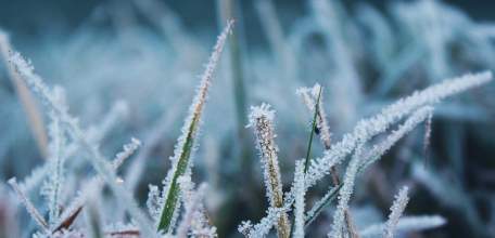 МЧС предупреждает о заморозках