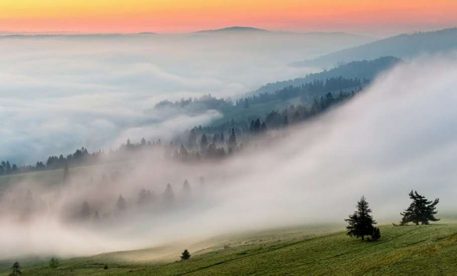 Утром и в первой половине дня 4 июня в Липецкой области ожидается туман с видимостью менее 500 м.