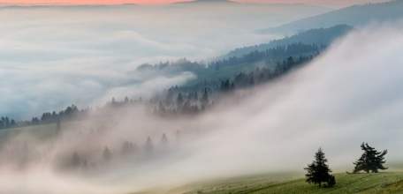 Утром и в первой половине дня 4 июня в Липецкой области ожидается туман с видимостью менее 500 м.