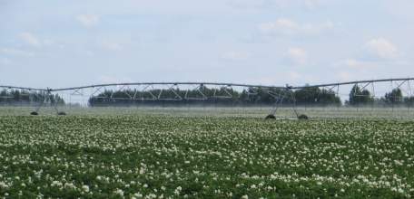 Липецкие аграрии продолжают улучшать качество земель