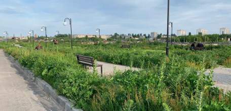 Прокуратура Ельца потребовала обеспечить муниципальный контроль за состоянием общественных территорий, предназначенных для отдыха горожан