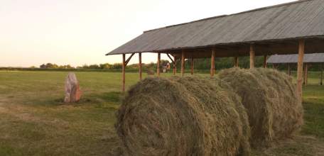 «Русборг» подготовил полигон для проведения фестиваля