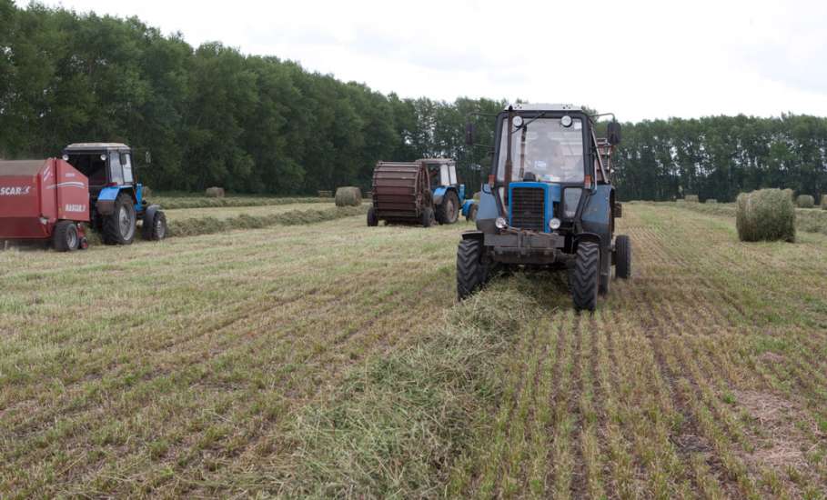 Заготовка кормов началась в Липецкой области