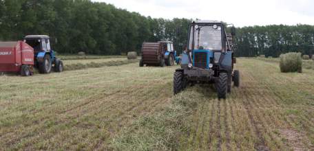 Заготовка кормов началась в Липецкой области
