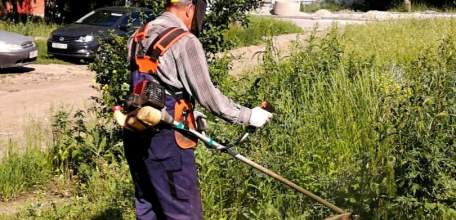 В Ельце в разгаре покос травы
