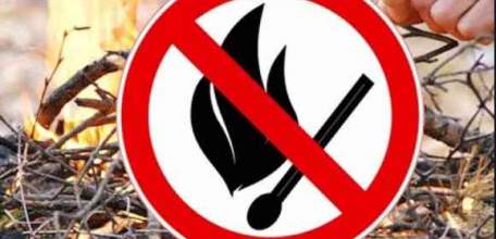 С 19 июня на территории Липецкой области ожидается высокая пожароопасность лесов, горимость 4 класс