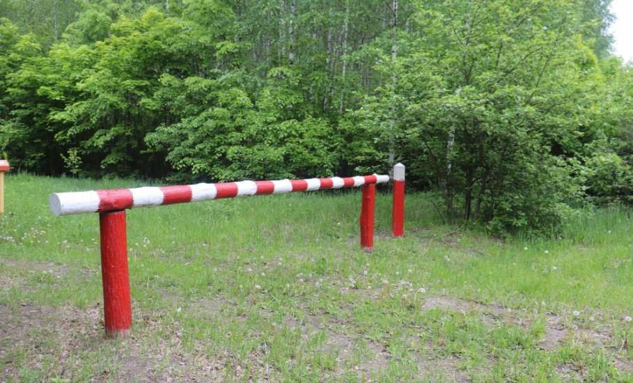 С 20 июня по 10 июля в Липецкой области введено ограничение на посещение лесов