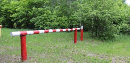 С 20 июня по 10 июля в Липецкой области введено ограничение на посещение лесов