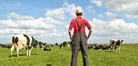 Начинающие липецкие фермеры получат гранты