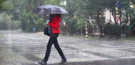 МЧС: На территории Липецкой области ожидается сильный дождь, гроза