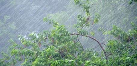 Внимание! Экстренное предупреждение МЧС: сильный дождь, ветер, возможен град