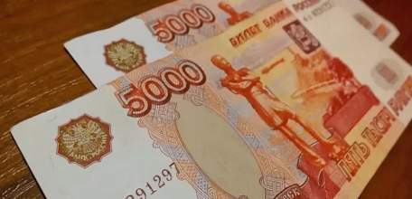 В Липецкой области более 92 % семей уже получили основную единовременную выплату 10 тысяч рублей