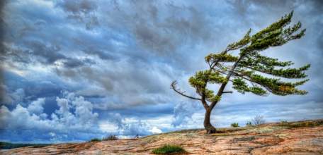 5 июля в Липецкой области ожидается гроза, дождь, в отдельных районах град, а так же сильная жара