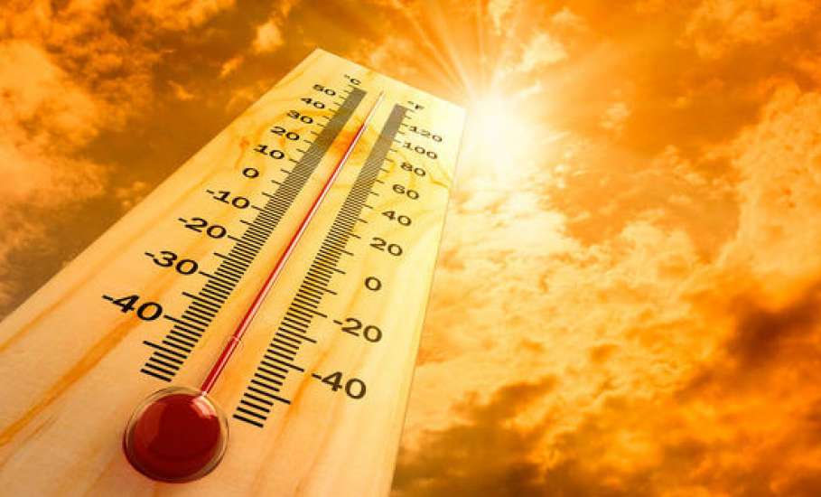 7 июля в Липецкой области ожидается опасное метеорологическое явление - сильная жара