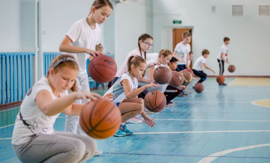 Классы физкультурно-спортивной направленности откроются в елецких школах