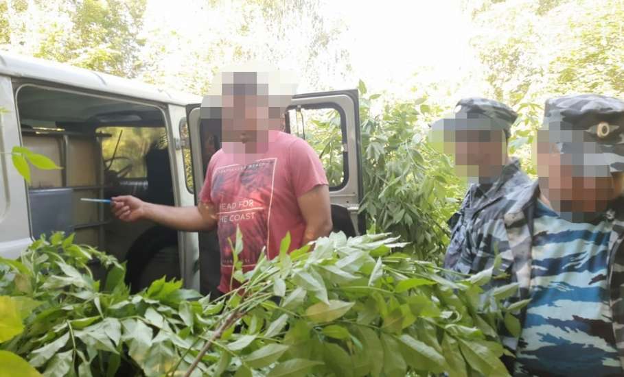 В Липецкой области транспортные полицейские задержали двух мужчин за хищение около двух тонн дизельного топлива