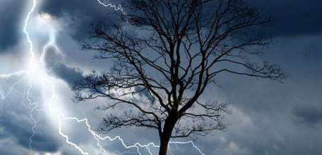 8-9 июля в Липецкой области ожидается гроза, сильный дождь, усиление северо-западного ветра с порывами до 15-20 м/с