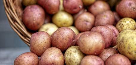 Цены на картофель резко подскочили в Липецкой области