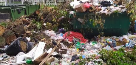 Прокуратура Ельца выявила нарушения действующего законодательства об отходах производства и потребления