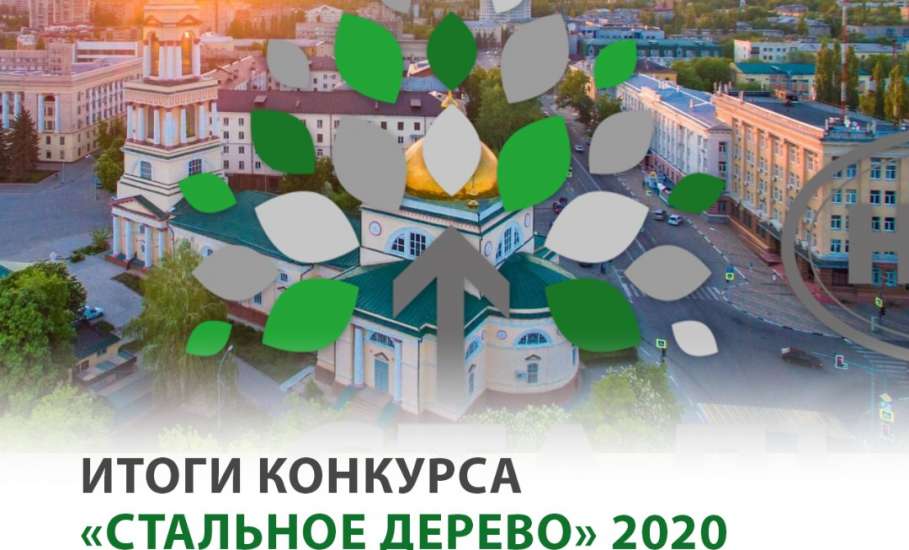 Елецкие педагоги - обладатели грантов проекта «Стальное дерево»