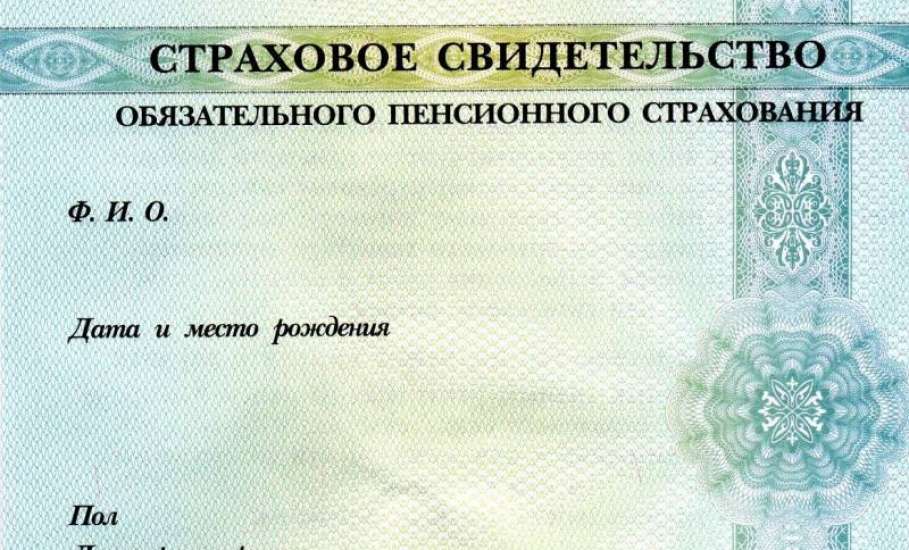 Пенсионный фонд приступил к проактивному оформлению СНИЛС на дете