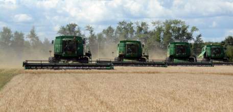 Более двух тысяч комбайнов будут убирать зерновые в Липецкой области