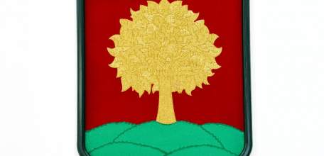 В регионе расширяются допустимые случаи использования официальных символов Липецкой области