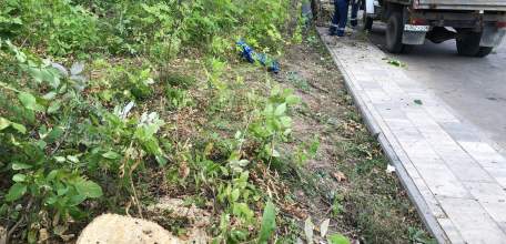 Просим прокуратуру Ельца и управление экологии отреагировать по факту выявленных нарушений в парке 40-летия Октября