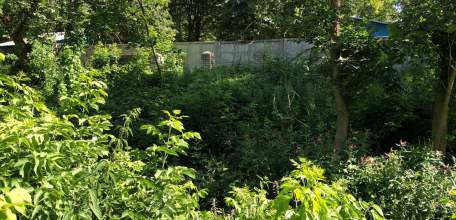 Русло речки Лучок заросло бурьяном с человеческий рост!