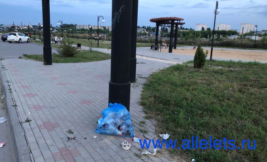 Ужасное состояние сквера в микрорайоне Александровском как форма городского безвластия