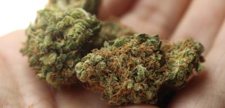 В Ельце транспортные полицейские изъяли марихуану у местного жителя