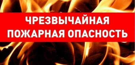 С 5 августа на территории Липецкой области ожидается опасное метеорологическое явление - чрезвычайная пожароопасность лесов